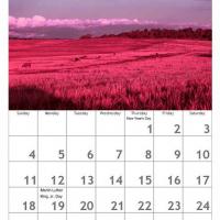 Red January Scenery Calendar