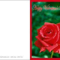 Red Rose Card