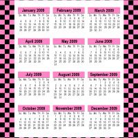 Retro Pink 2009 Calendar