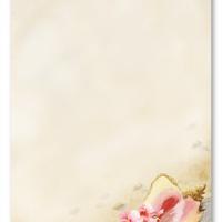 Sandy Beach Blank Card Invitation