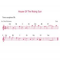 Saxophone - House Of The Rising Sun