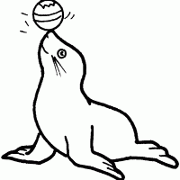 Seal With Balancing Ball