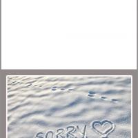 Sorry in the Sand Card