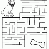 Sparky Can't Find His Bone