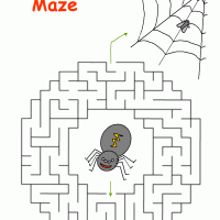 Spider Maze