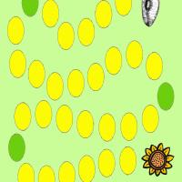 Sunflower Board Game