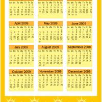 Sunny 2009 Calendar