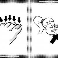 Toes and Tongue Flash Cards