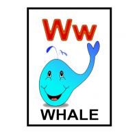 W is for Whale Flash Card