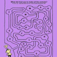 What Did God Use To Make All The Animals Maze