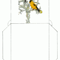 Yellow Birds Teabag Envelope