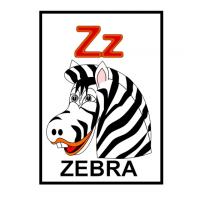 Z is for Zebra Flash Card