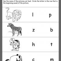 zoo animals beginning consonants review